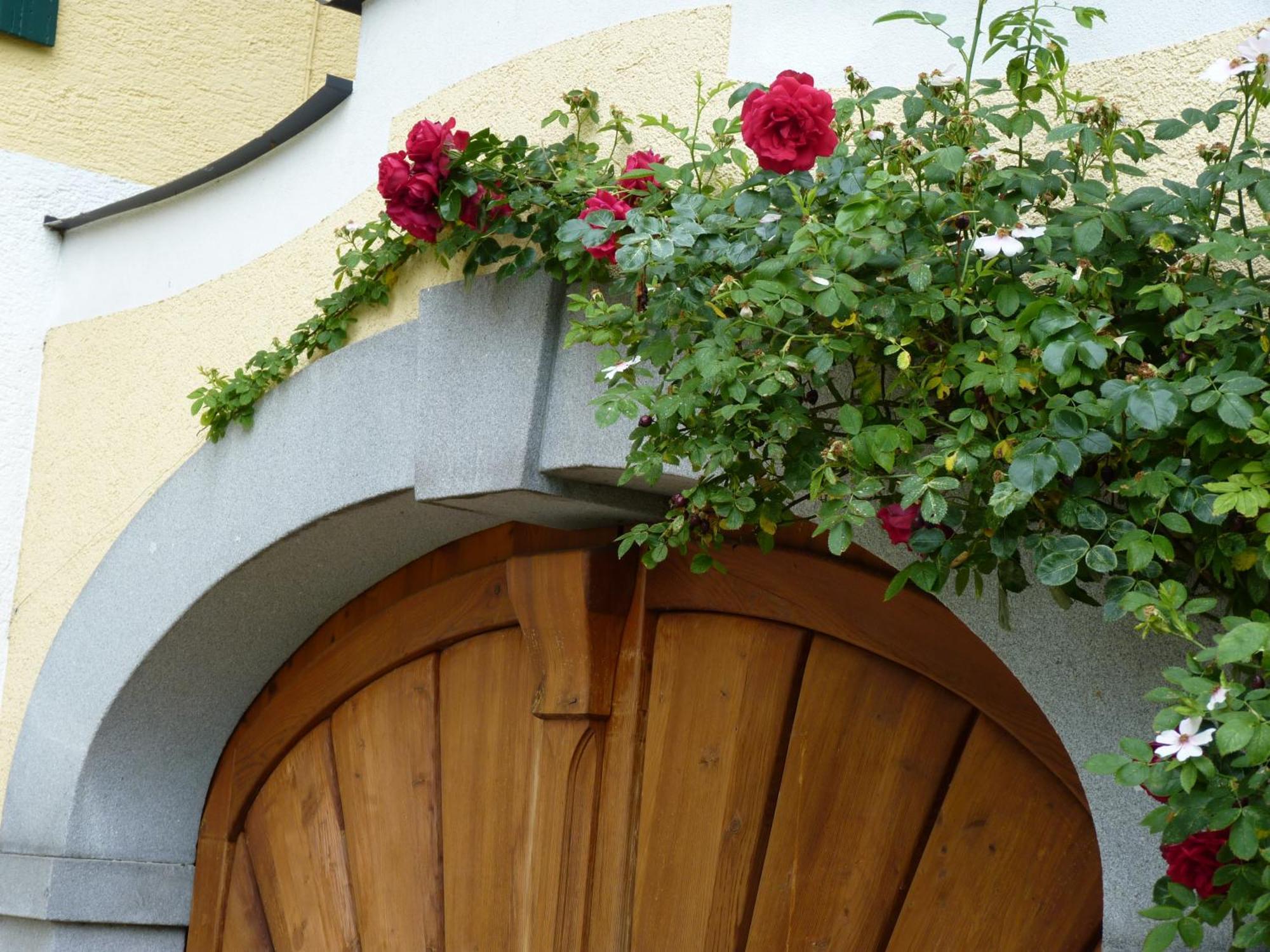 Apartamento Landgut Wagnerfeld Altmünster Exterior foto